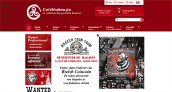 Desktop Screenshot of celtitudes.fr